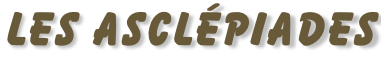 Les Asclépiades